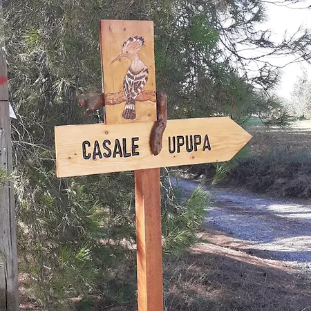 بيت للعطل Casale L'upupa